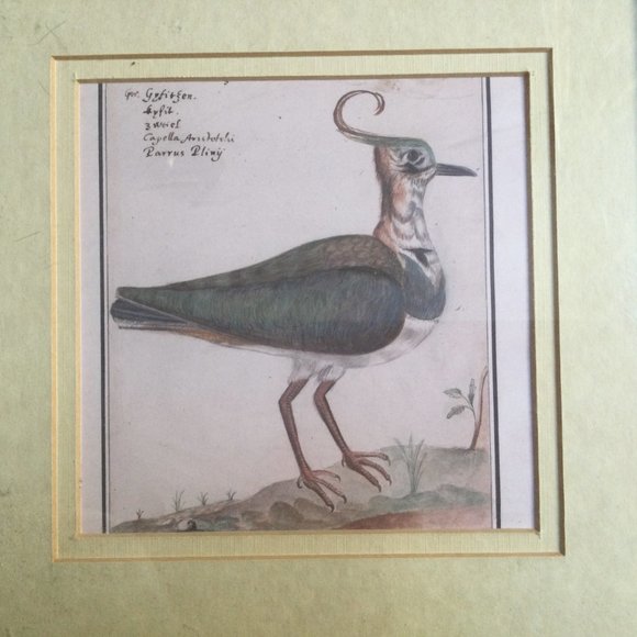 Wall decor framed print bird home decor 28.5cm x 28.5cm wood frame - Picture 4 of 5